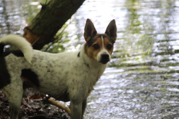 F53584B5-70AB-4D34-8A18-7740693FE9FF