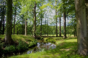 DD13F21F-2740-40B3-8C26-F9D972417ACD_1_201_a